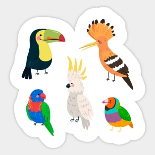 Parrots Collection Sticker